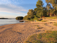 Alsógödi szabadstrand, háttérben a Homoksziget