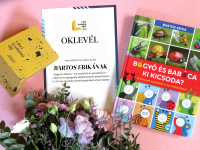 Libri Irodalmi Díj - Bogyó és Babóca / Ki kicsoda?